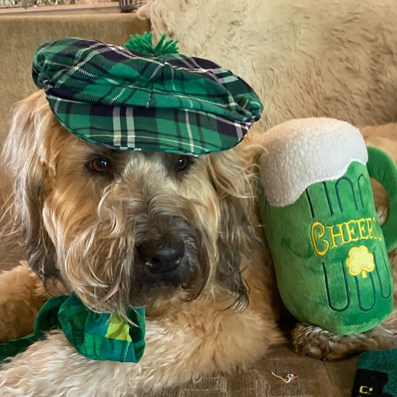 Pants 👖 Section of Bijou’s Closet ! - Picture 3 of 5